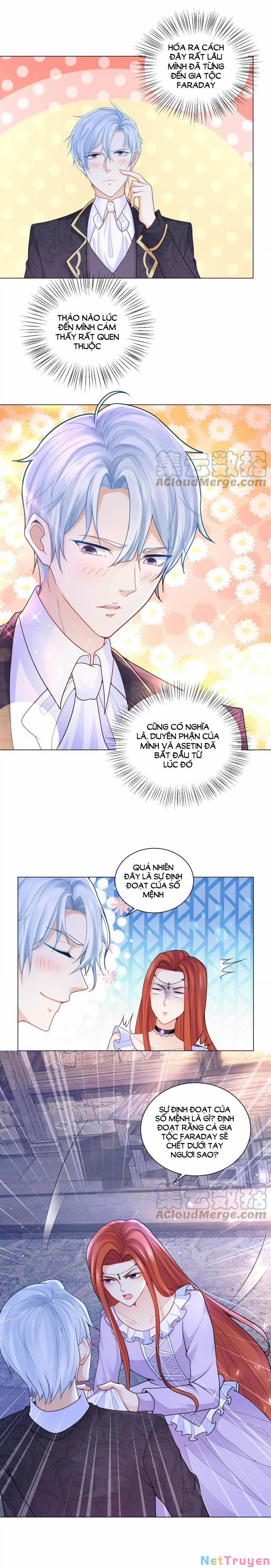 Tôi Muốn Trở Thành Tiểu Thư Công Tước Phế Vật 164 trang 3