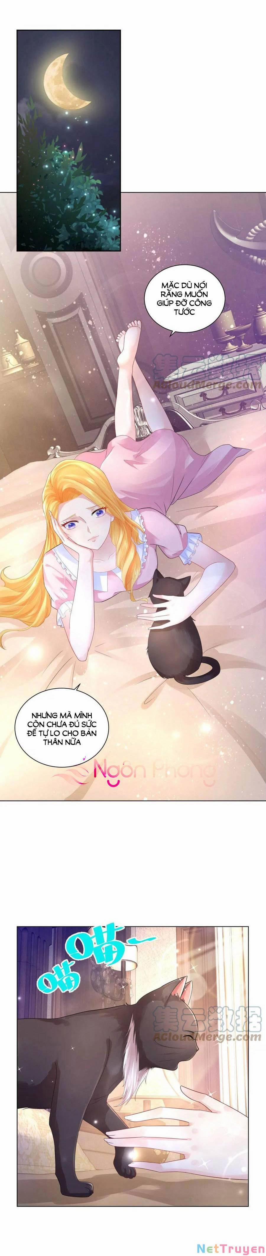 Tôi Muốn Trở Thành Tiểu Thư Công Tước Phế Vật 165 trang 0