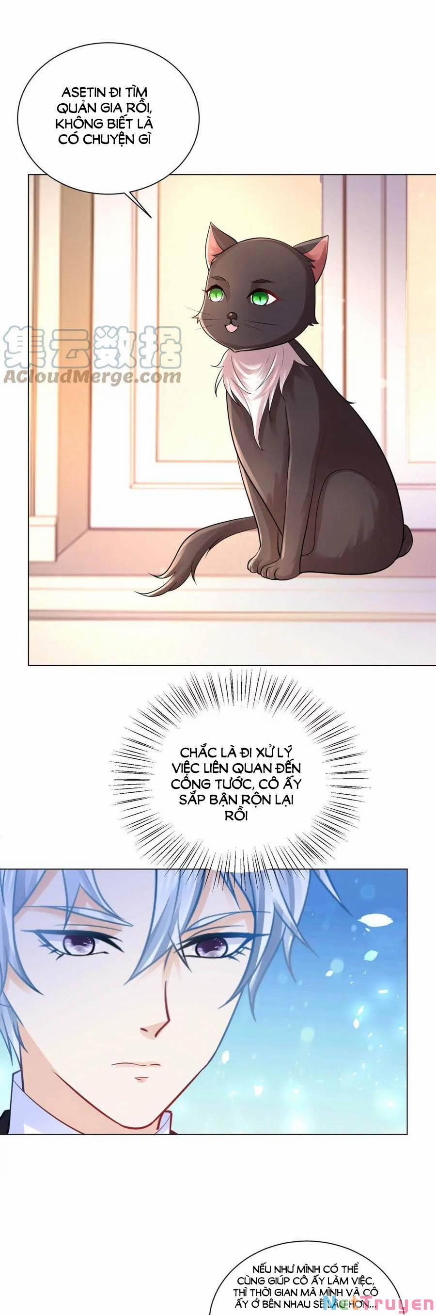 Tôi Muốn Trở Thành Tiểu Thư Công Tước Phế Vật 165 trang 5