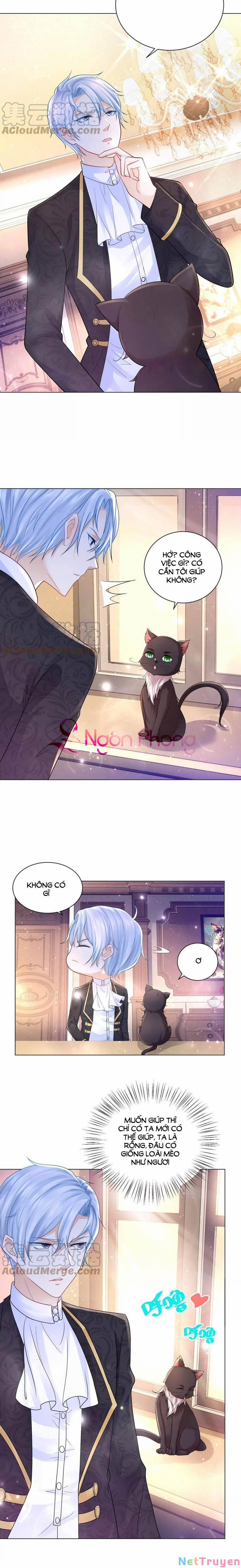 Tôi Muốn Trở Thành Tiểu Thư Công Tước Phế Vật 165 trang 6