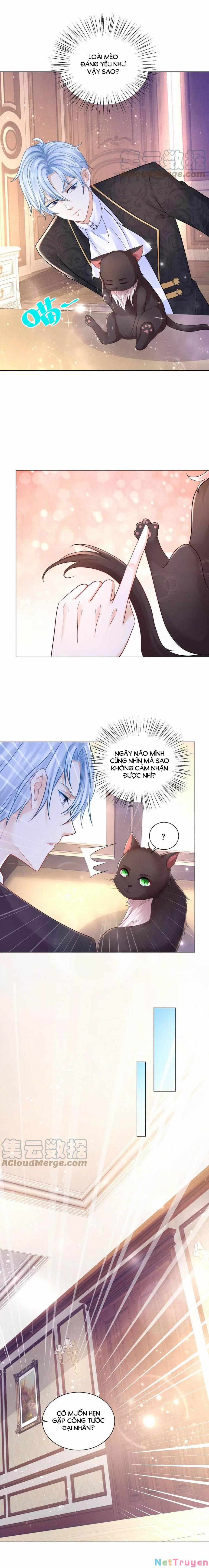 Tôi Muốn Trở Thành Tiểu Thư Công Tước Phế Vật 165 trang 7