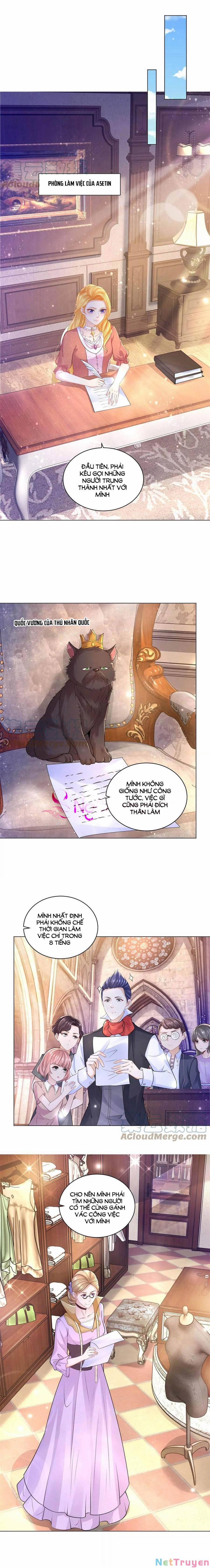 Tôi Muốn Trở Thành Tiểu Thư Công Tước Phế Vật 167 trang 1