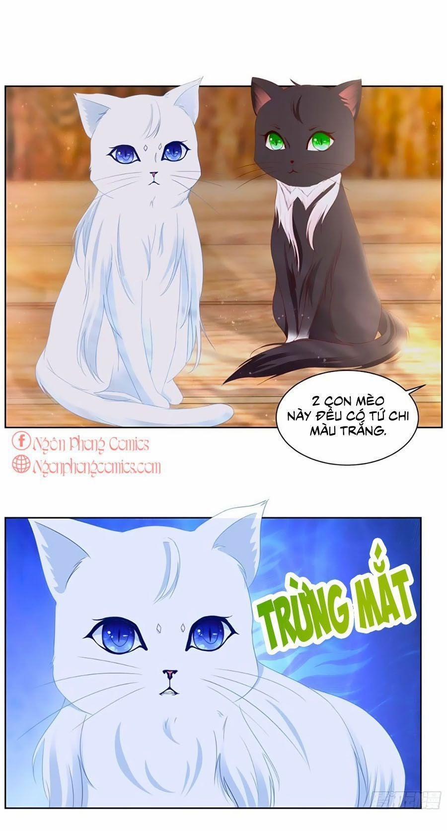 Tôi Muốn Trở Thành Tiểu Thư Công Tước Phế Vật 3 trang 12