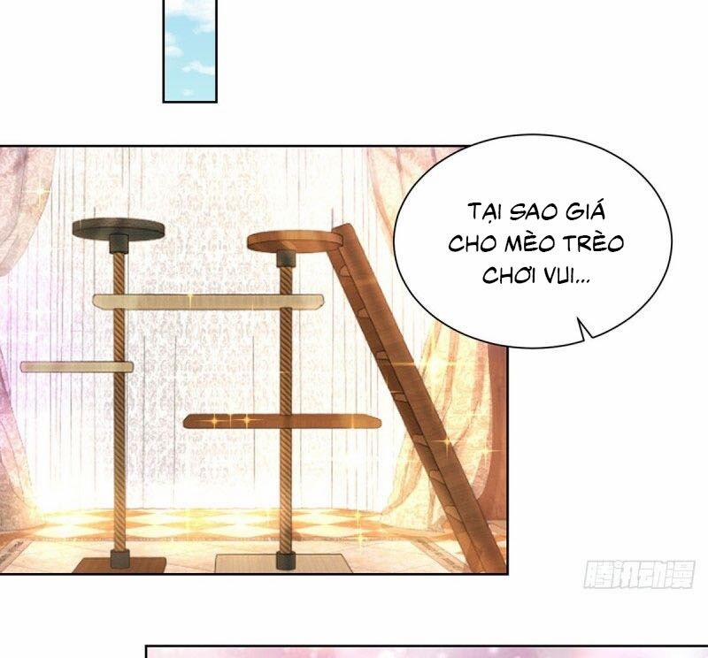 Tôi Muốn Trở Thành Tiểu Thư Công Tước Phế Vật 70 trang 15