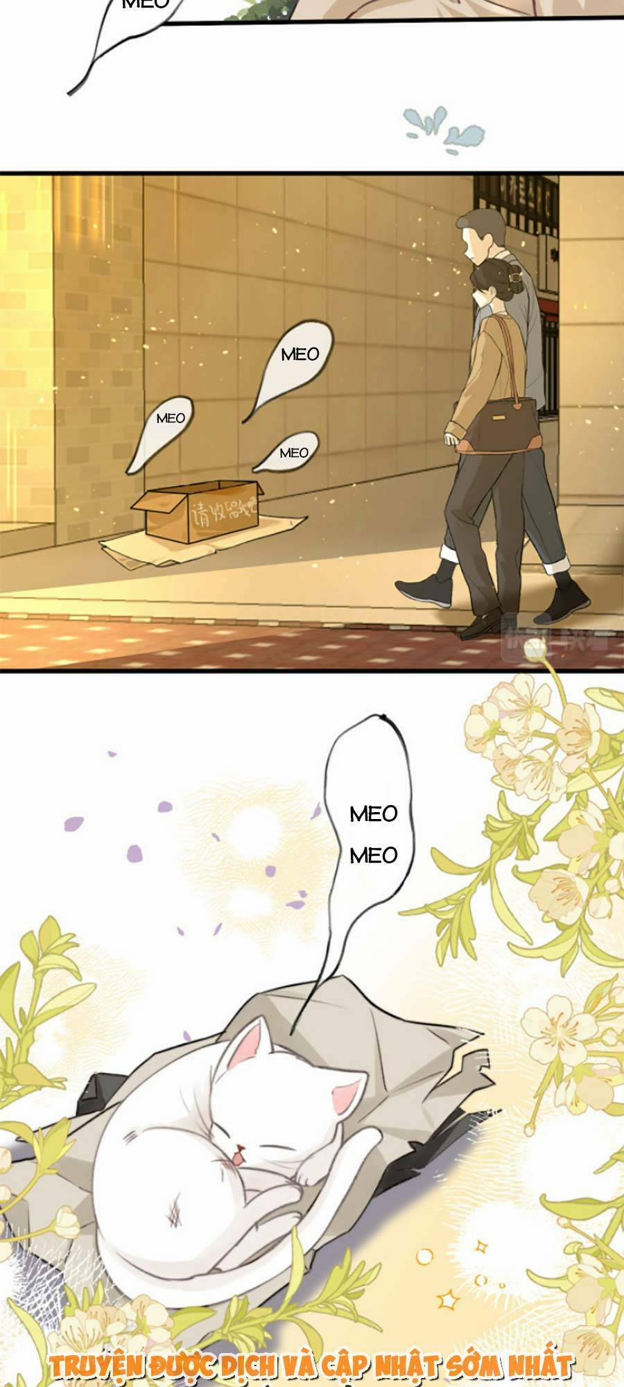 Tôi Nhặt Được Tiểu Ma Nữ 3 trang 13