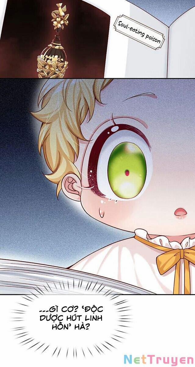 Tôi, Nữ Hoàng Edith 5 trang 17