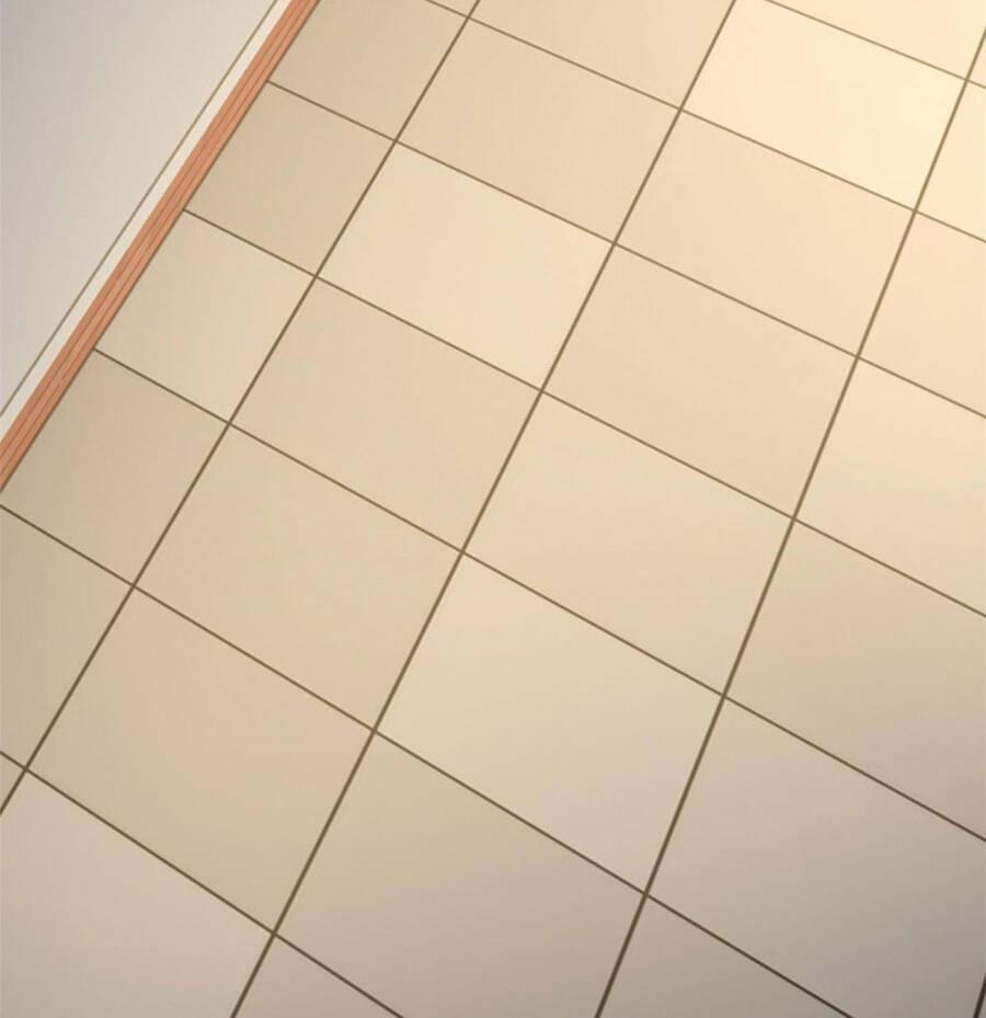 Tôi Ở Thế Giới Khác Dựa Dẫm Vào Phụ Nữ 150 trang 49