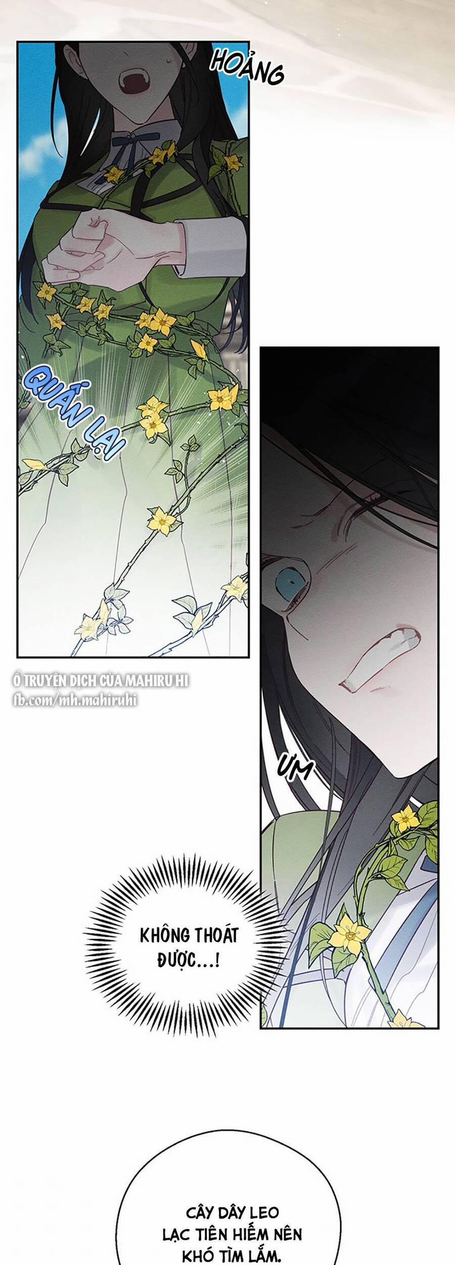 Tôi Phải Giấu Em Trai Trước Đã 38 trang 31