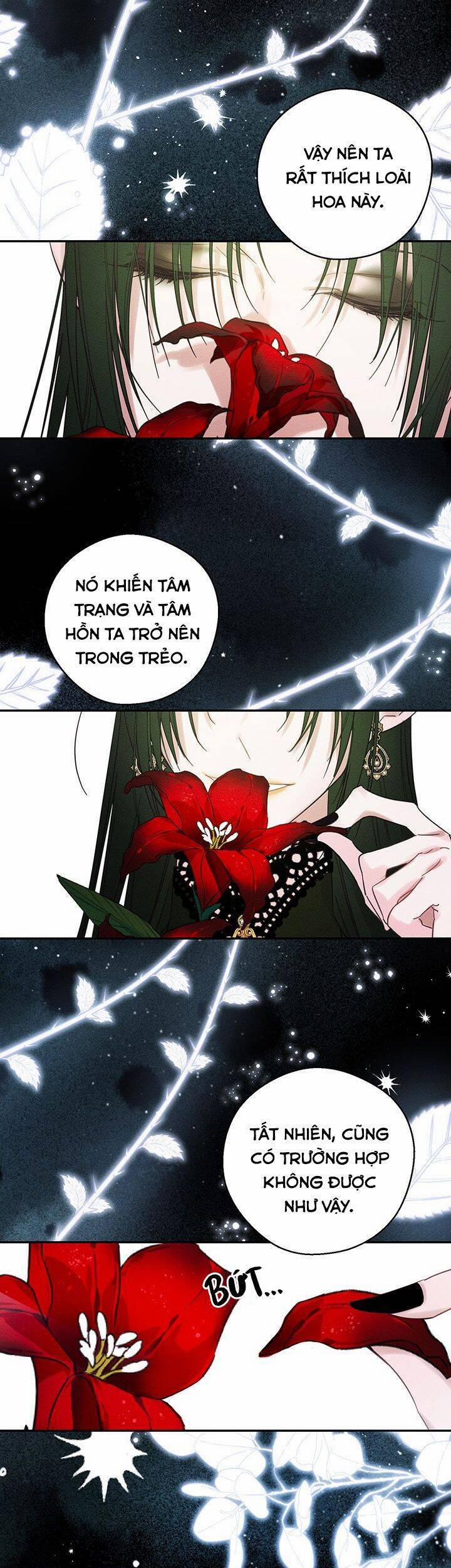 Tôi Phải Giấu Em Trai Trước Đã 39 trang 19