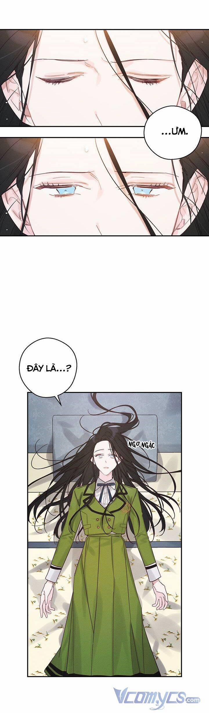 Tôi Phải Giấu Em Trai Trước Đã 40 trang 1