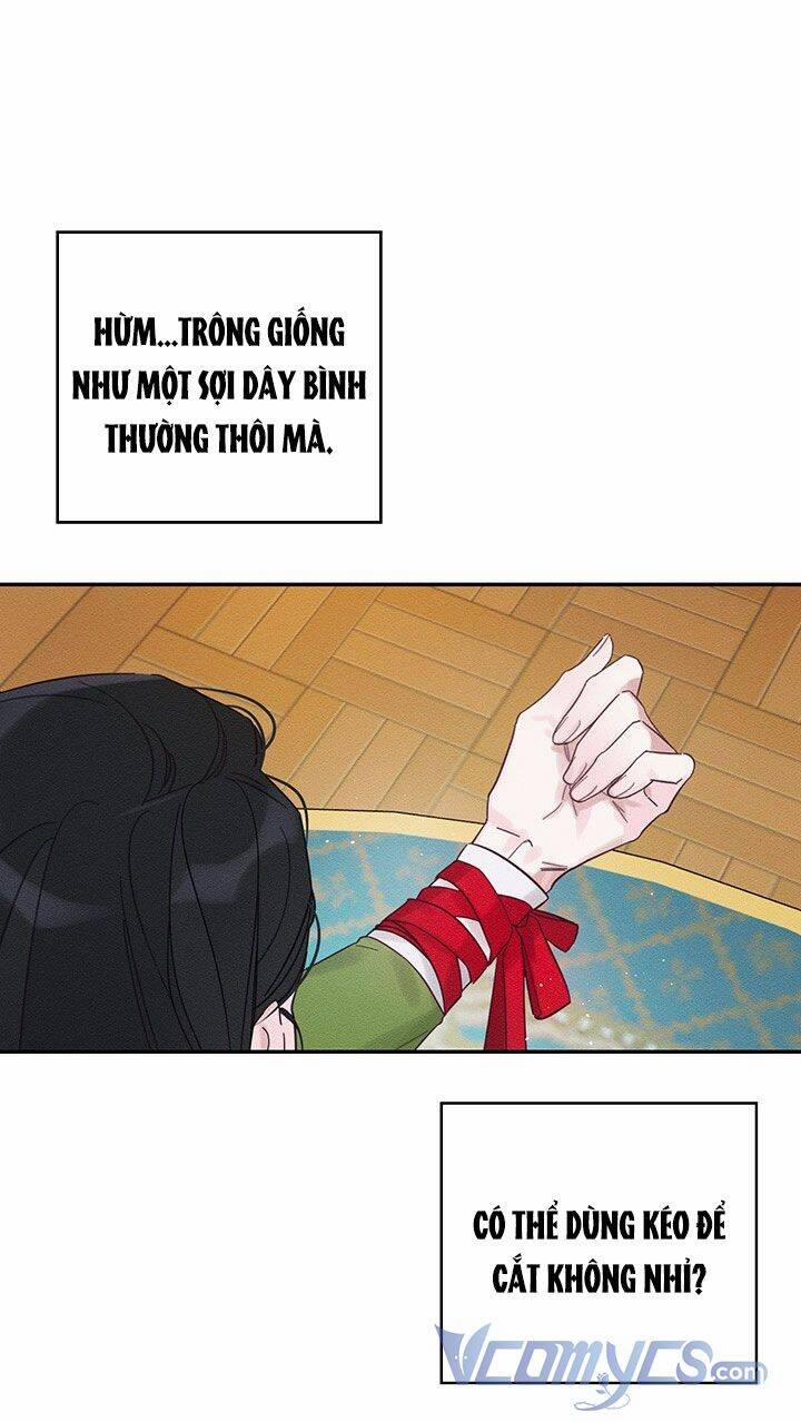 Tôi Phải Giấu Em Trai Trước Đã 41 trang 6