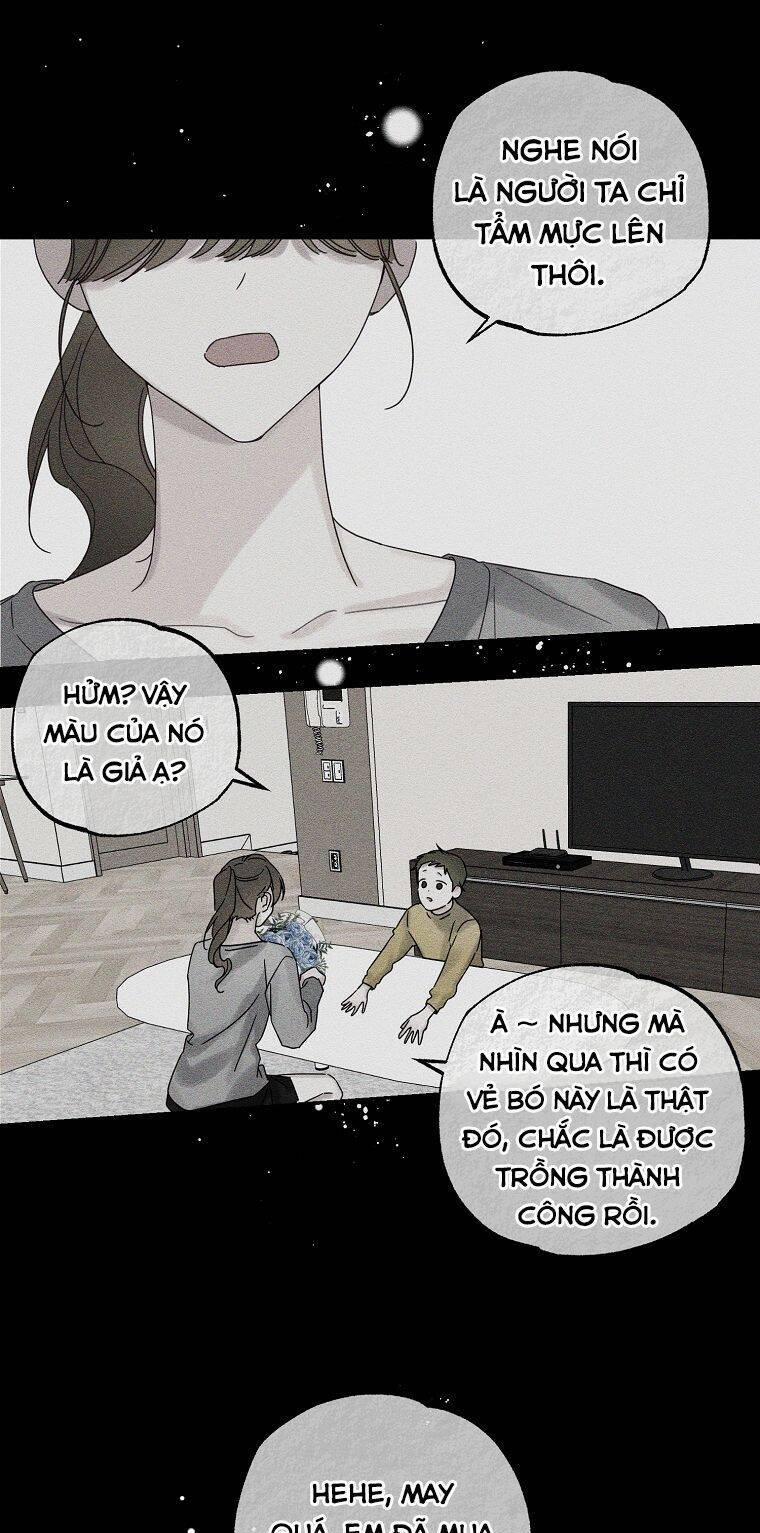 Tôi Phải Giấu Em Trai Trước Đã 48 trang 33