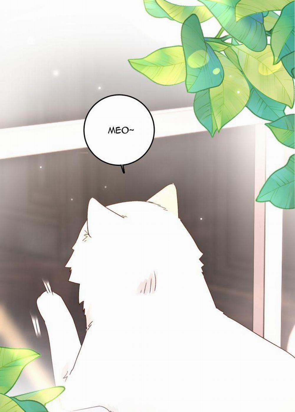 Tôi Phải Làm 1 Kẻ Đại Xấu Xa 15 trang 1