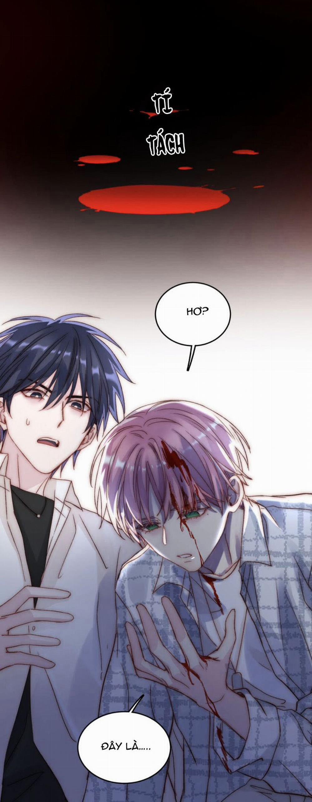 Tôi Phải Làm 1 Kẻ Đại Xấu Xa 27.5 trang 5