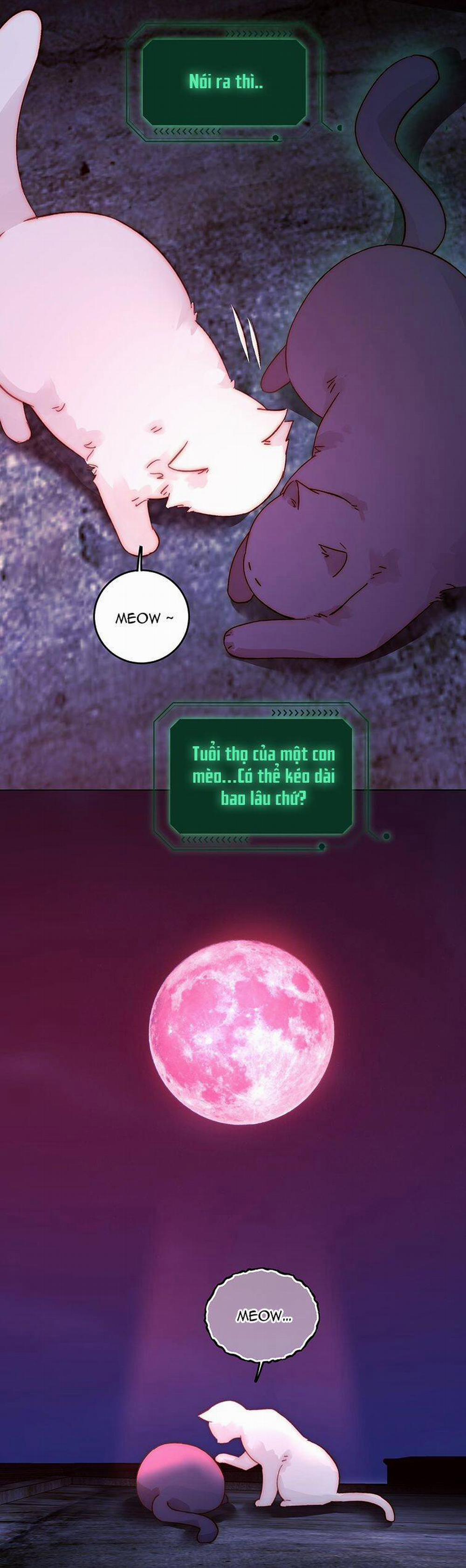 Tôi Phải Làm 1 Kẻ Đại Xấu Xa 90 trang 29