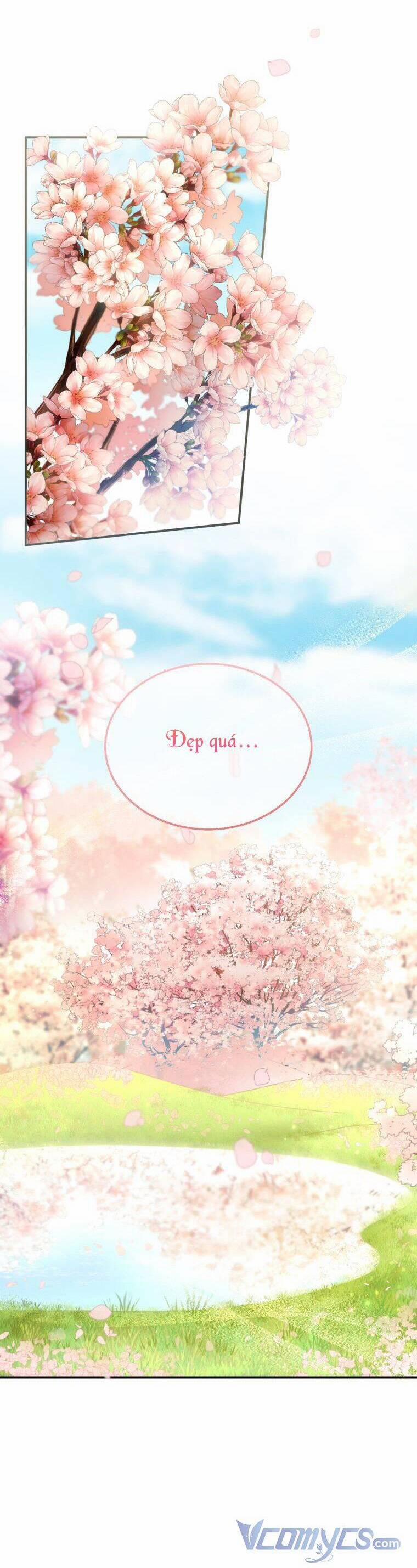 Tôi Sắp Ly Hôn Với Người Chồng Độc Ác, Nhưng Chúng Tôi Có Baby 28 trang 28