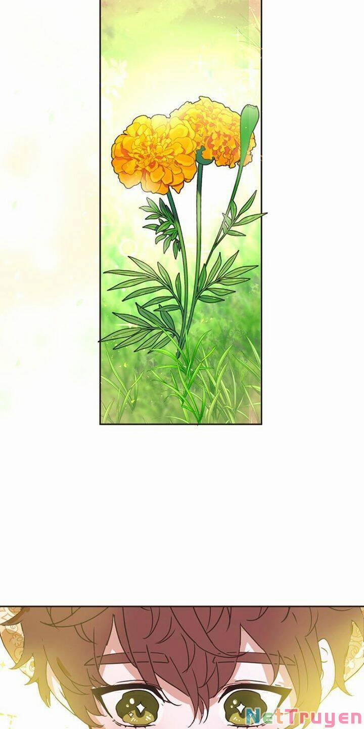 Tôi Sắp Ly Hôn Với Người Chồng Độc Ác, Nhưng Chúng Tôi Có Baby 51.5 trang 1