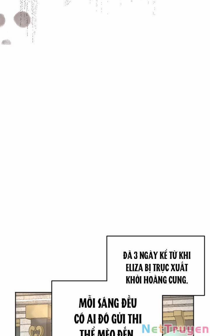 Tôi Sẽ Bị Trừ Khử Cùng Hoàng Đế 19.1 trang 7