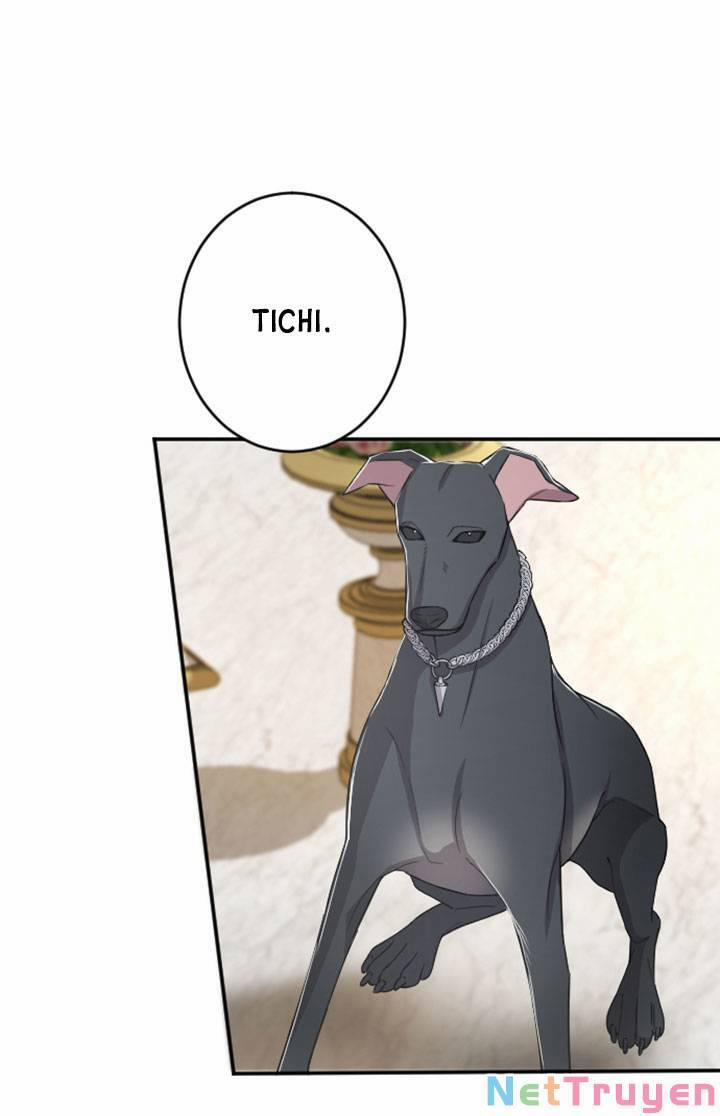 Tôi Sẽ Bị Trừ Khử Cùng Hoàng Đế 33.1 trang 11