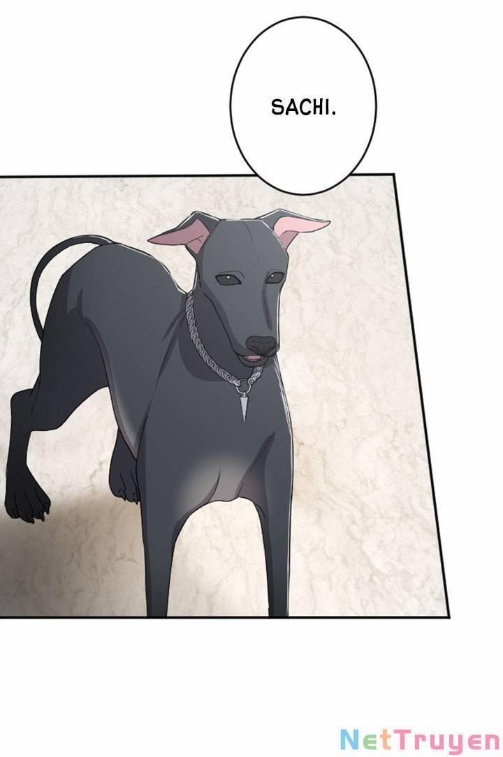 Tôi Sẽ Bị Trừ Khử Cùng Hoàng Đế 33.1 trang 12