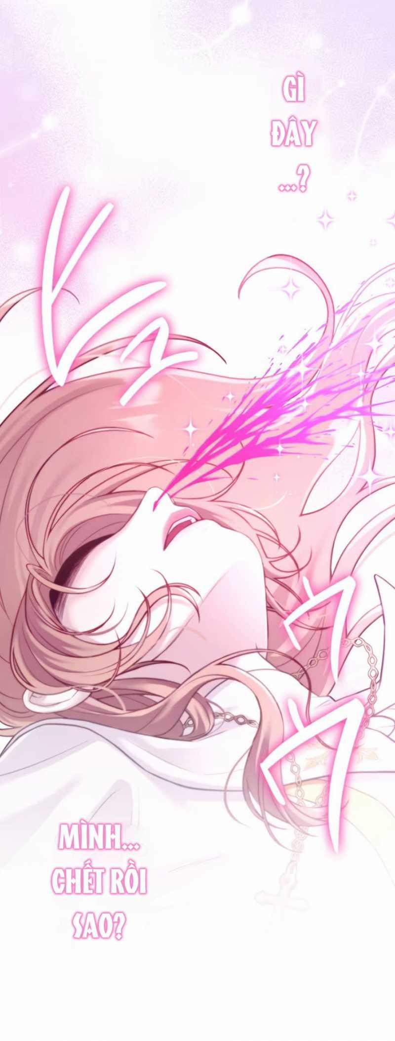 Tôi Sẽ Biến Anh Ta Từ Một Con Chó Điên Thành Một Chàng Quý Tộc 3.2 trang 15