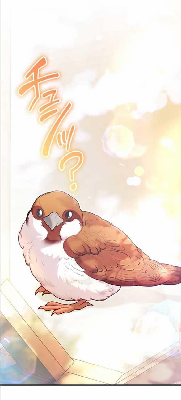 Tôi Sẽ Biến Anh Ta Từ Một Con Chó Điên Thành Một Chàng Quý Tộc 9.2 trang 6