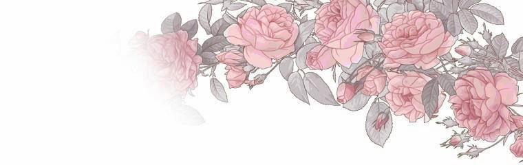 Tôi Sẽ Cứu Lấy Nam Chính Tiểu Thuyết Bl 21.5 trang 24