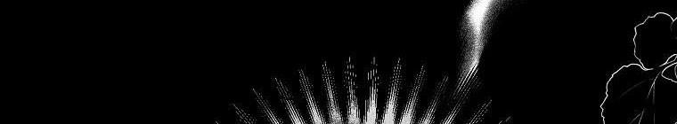 Tôi Sẽ Cứu Lấy Nam Chính Tiểu Thuyết Bl 22 trang 337