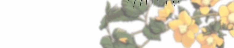 Tôi Sẽ Cứu Lấy Nam Chính Tiểu Thuyết Bl 23.5 trang 282