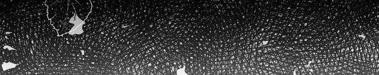 Tôi Sẽ Cứu Lấy Nam Chính Tiểu Thuyết Bl 23 trang 31