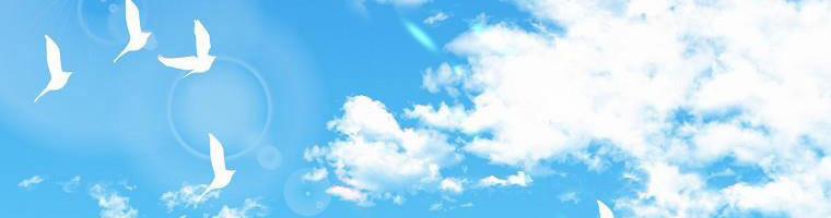 Tôi Sẽ Cứu Lấy Nam Chính Tiểu Thuyết Bl 24 trang 173