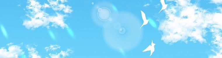 Tôi Sẽ Cứu Lấy Nam Chính Tiểu Thuyết Bl 24 trang 174