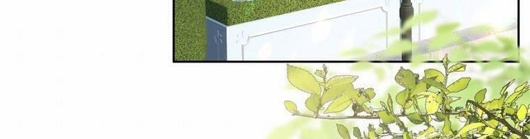 Tôi Sẽ Cứu Lấy Nam Chính Tiểu Thuyết Bl 24 trang 255