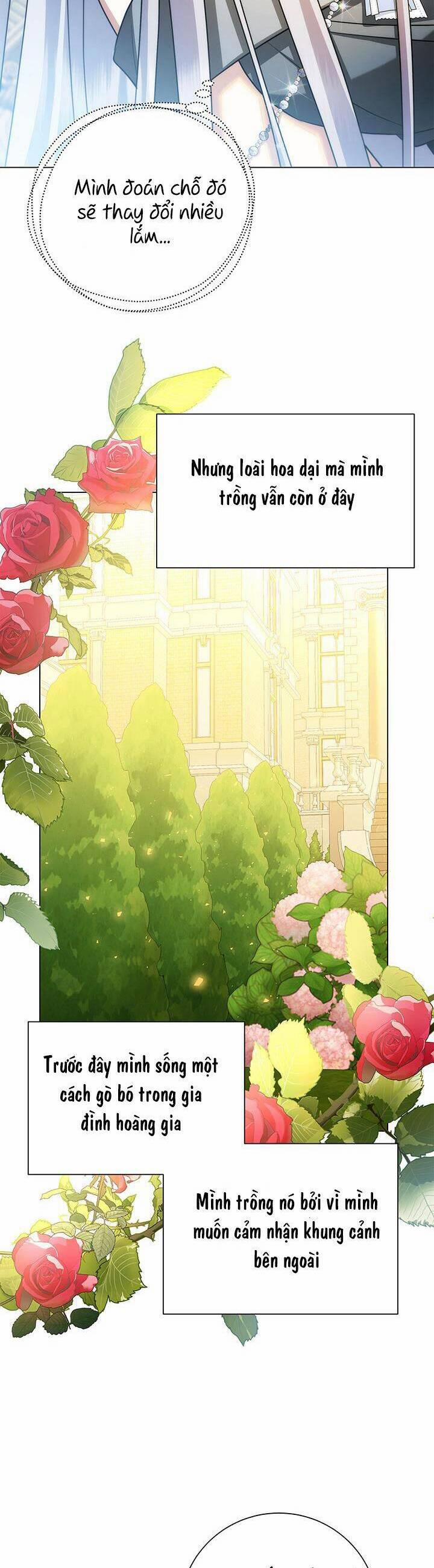 Tôi Sẽ Không Hối Tiếc Vì Anh Đâu 73 trang 15