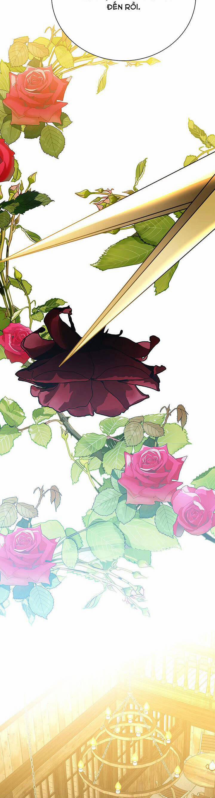 Tôi Sẽ Không Hối Tiếc Vì Anh Đâu 91 trang 29