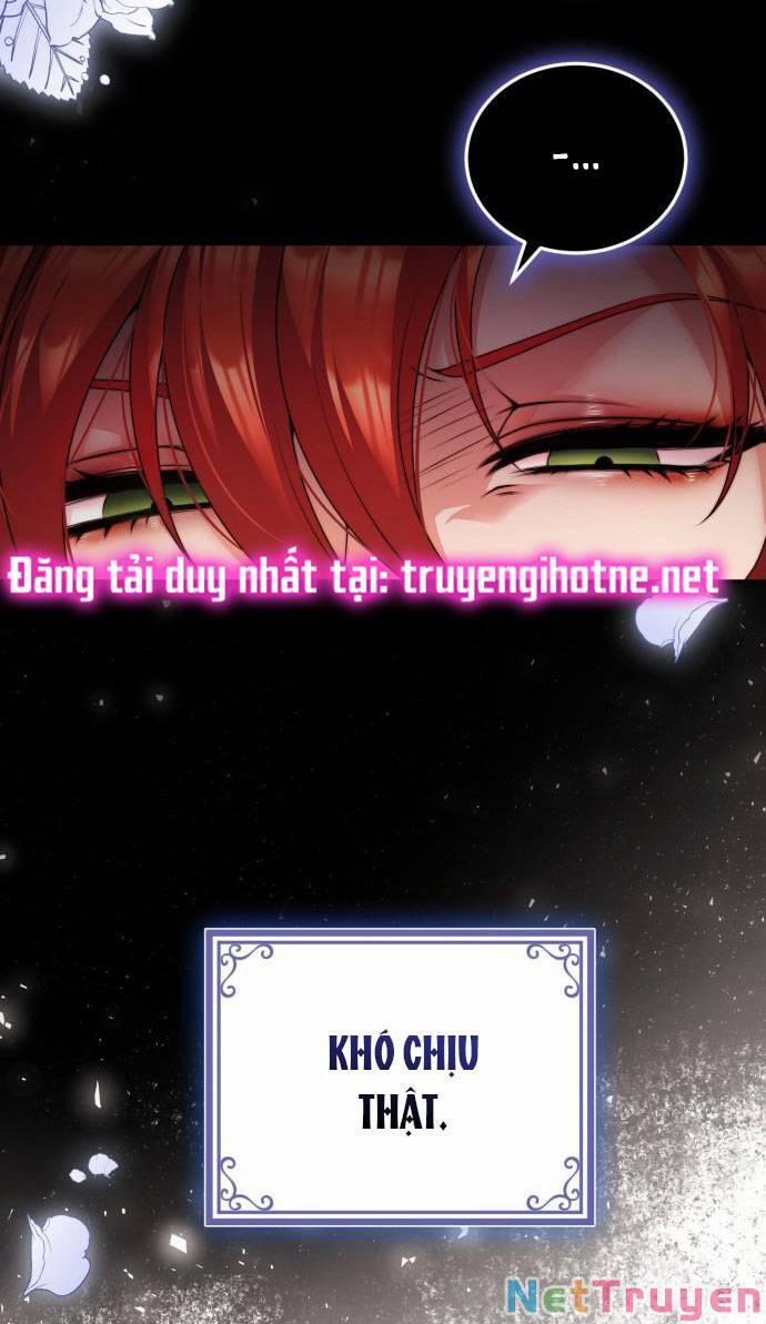 Tôi Sẽ Ly Hôn Với Người Chồng Bạo Chúa Của Mình 24.2 trang 12