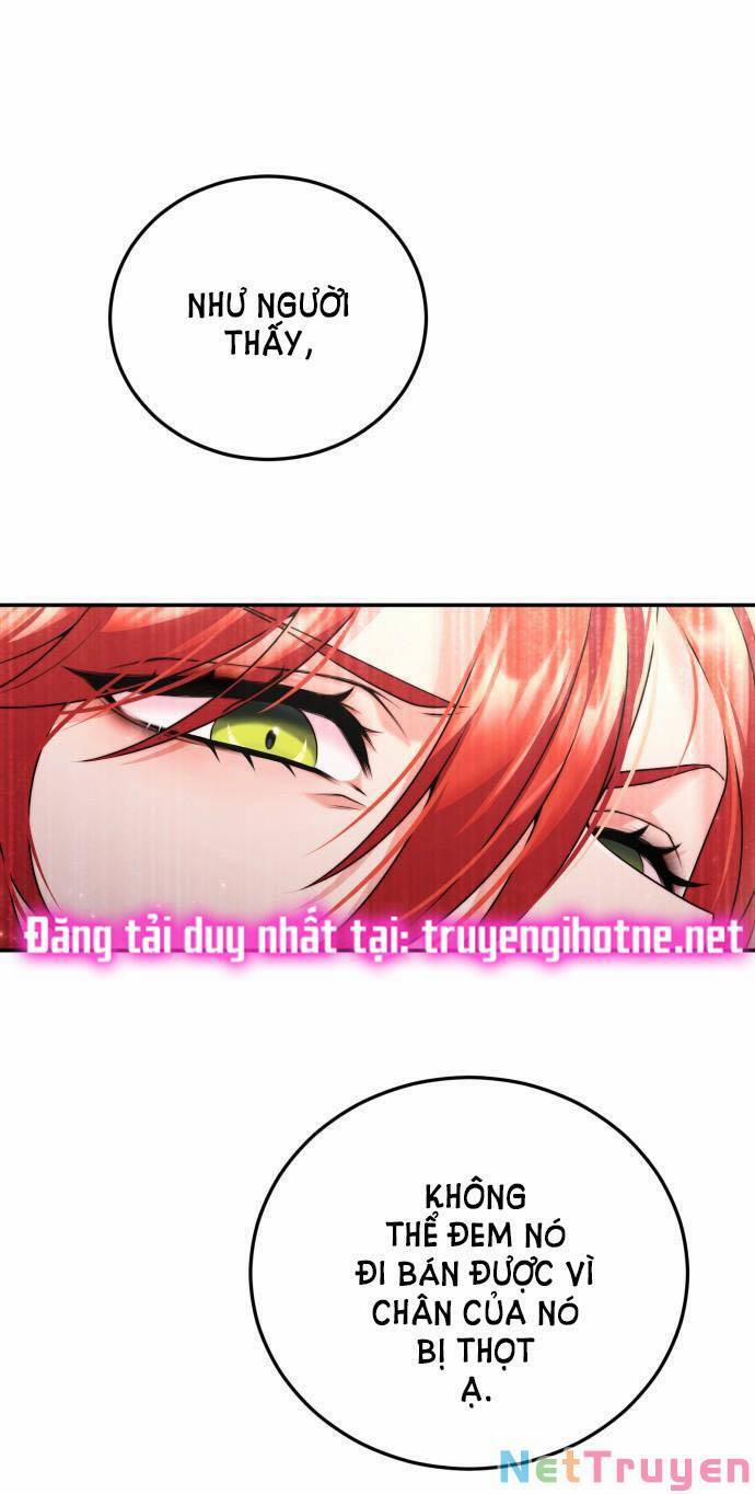 Tôi Sẽ Ly Hôn Với Người Chồng Bạo Chúa Của Mình 25.2 trang 5