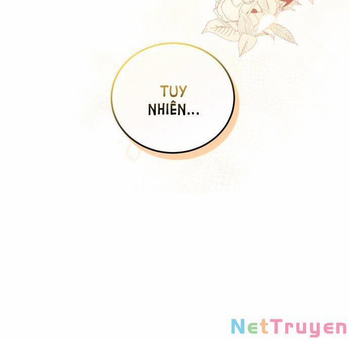 Tôi Sẽ Ly Hôn Với Người Chồng Bạo Chúa Của Mình 34.1 trang 25