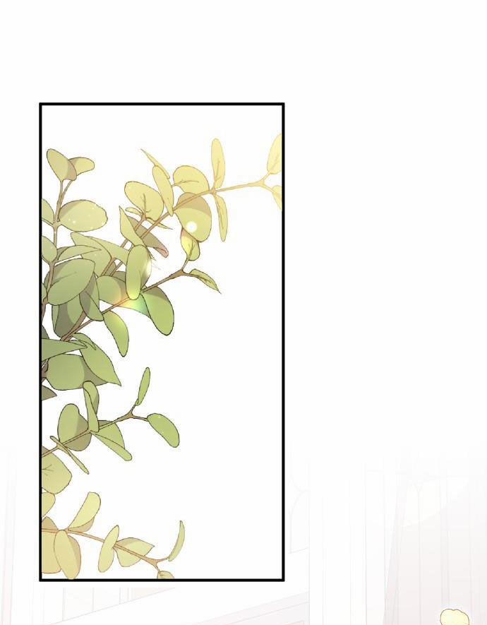 Tôi Sẽ Ly Hôn Với Người Chồng Bạo Chúa Của Mình 43.1 trang 6