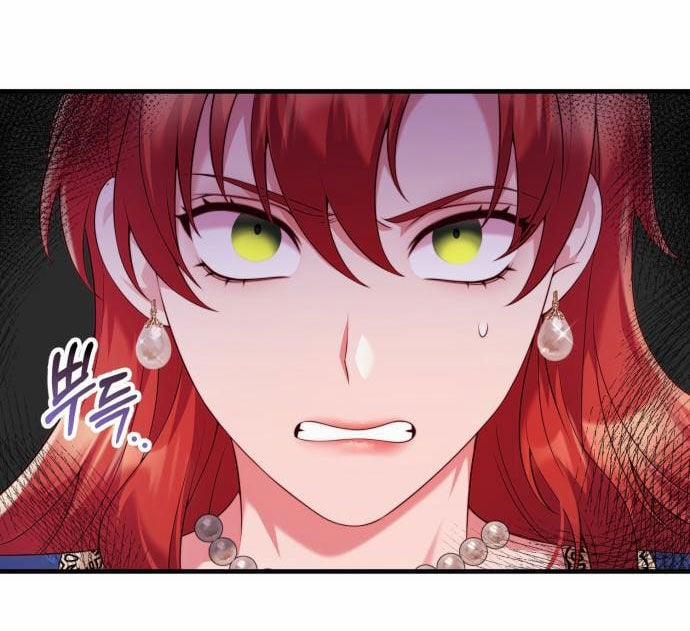 Tôi Sẽ Ly Hôn Với Người Chồng Bạo Chúa Của Mình 49.1 trang 29