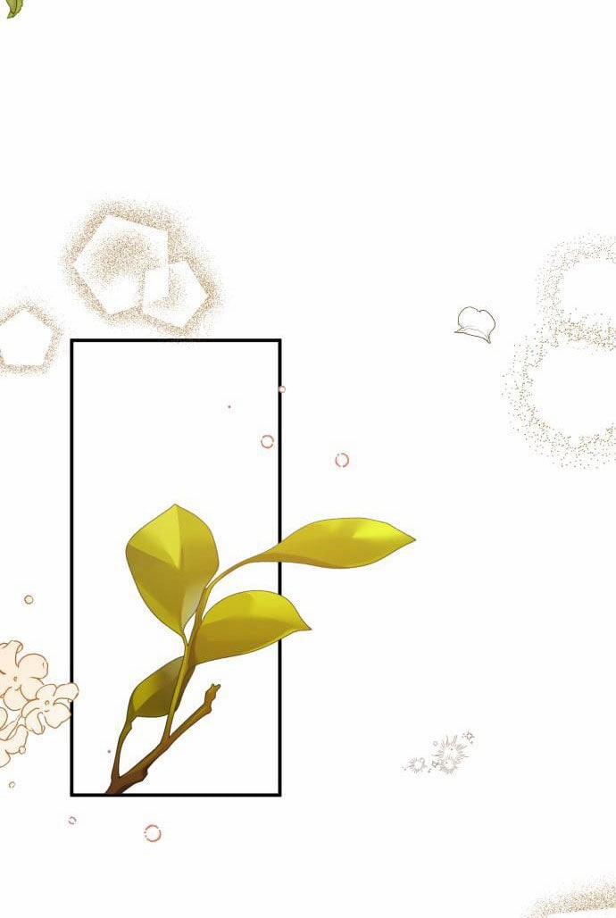 Tôi Sẽ Ly Hôn Với Người Chồng Bạo Chúa Của Mình 49.2 trang 2