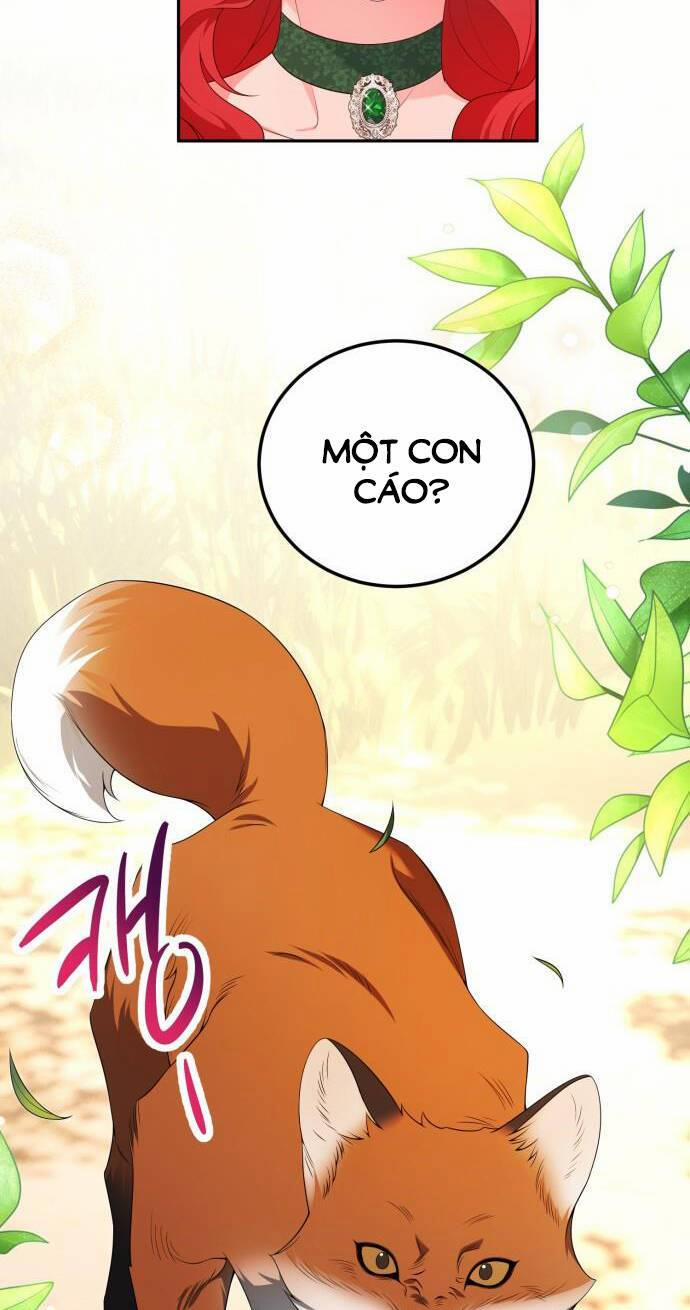 Tôi Sẽ Ly Hôn Với Người Chồng Bạo Chúa Của Mình 66.1 trang 13