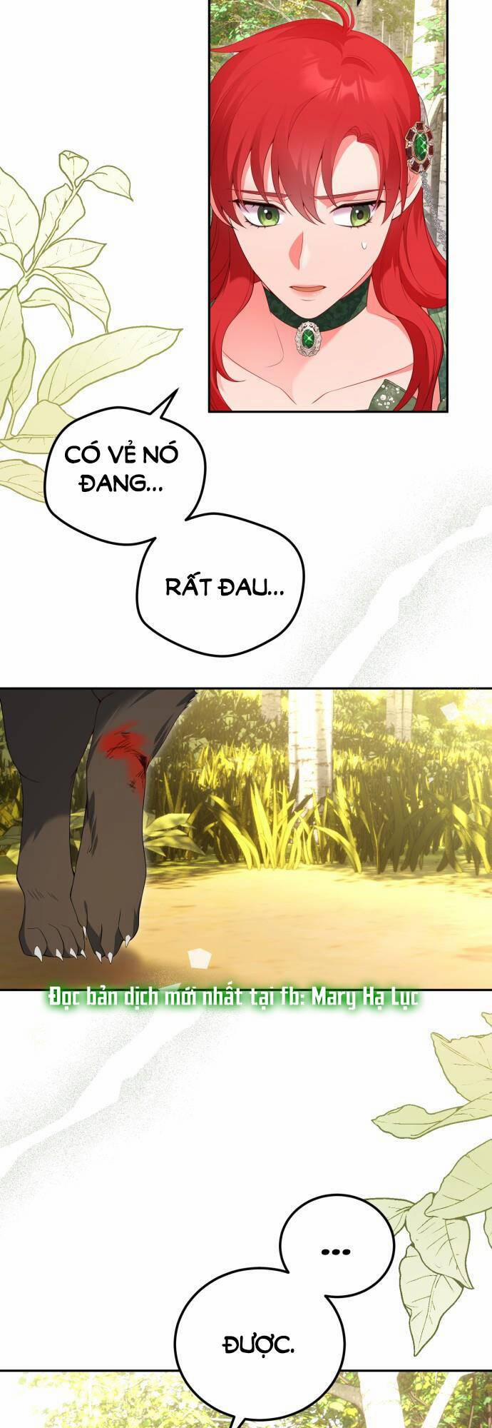 Tôi Sẽ Ly Hôn Với Người Chồng Bạo Chúa Của Mình 66.2 trang 2