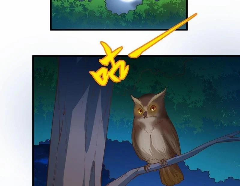 Tôi Sống Trên Hoang Đảo Cùng Các Em Gái 13 trang 37