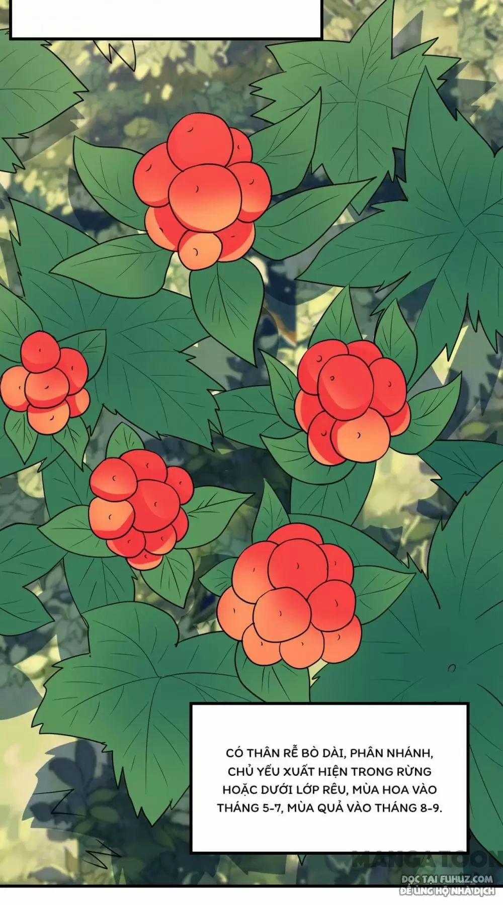 Tôi Sống Trên Hoang Đảo Cùng Các Em Gái 232 trang 11