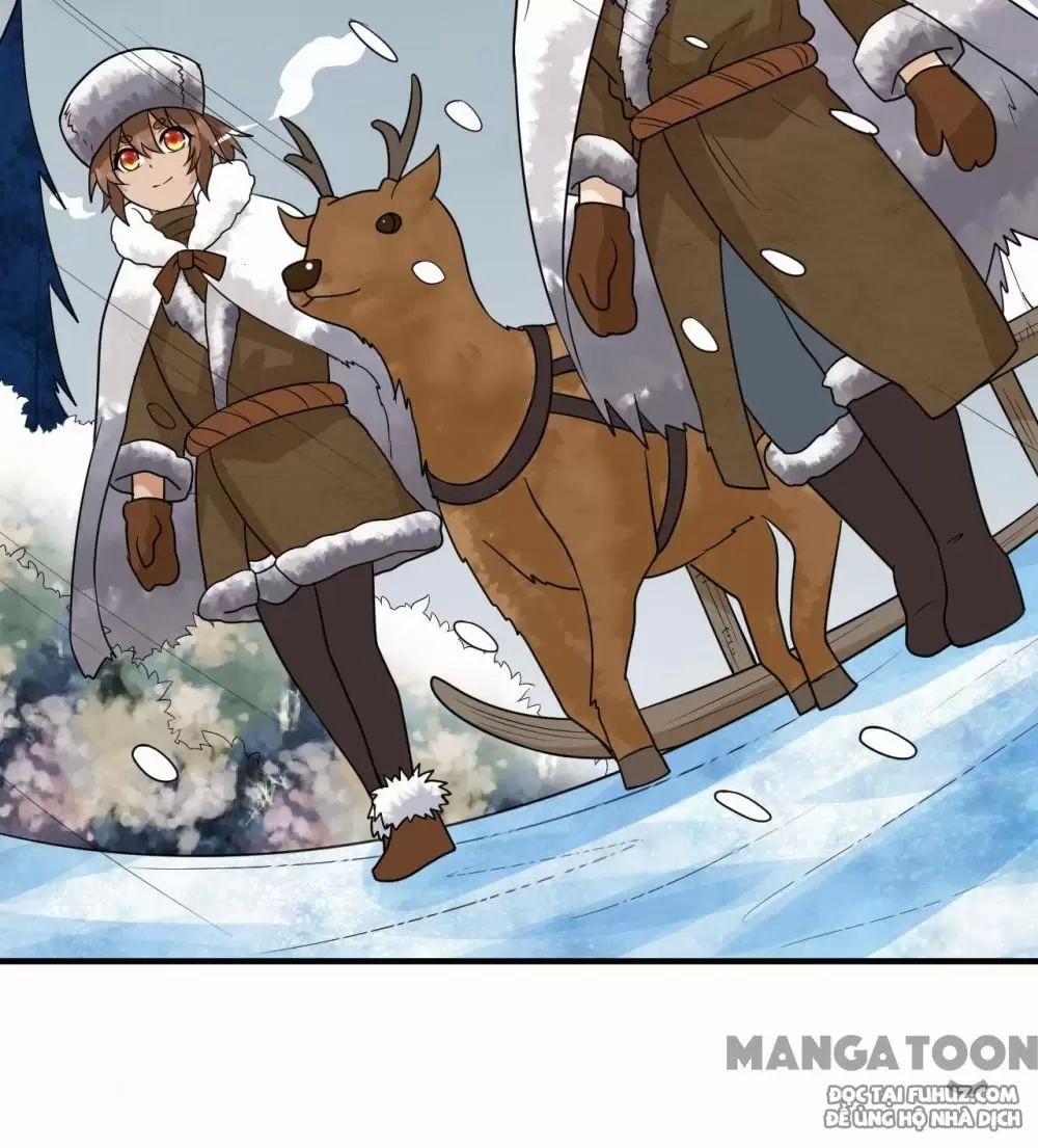 Tôi Sống Trên Hoang Đảo Cùng Các Em Gái 232 trang 19