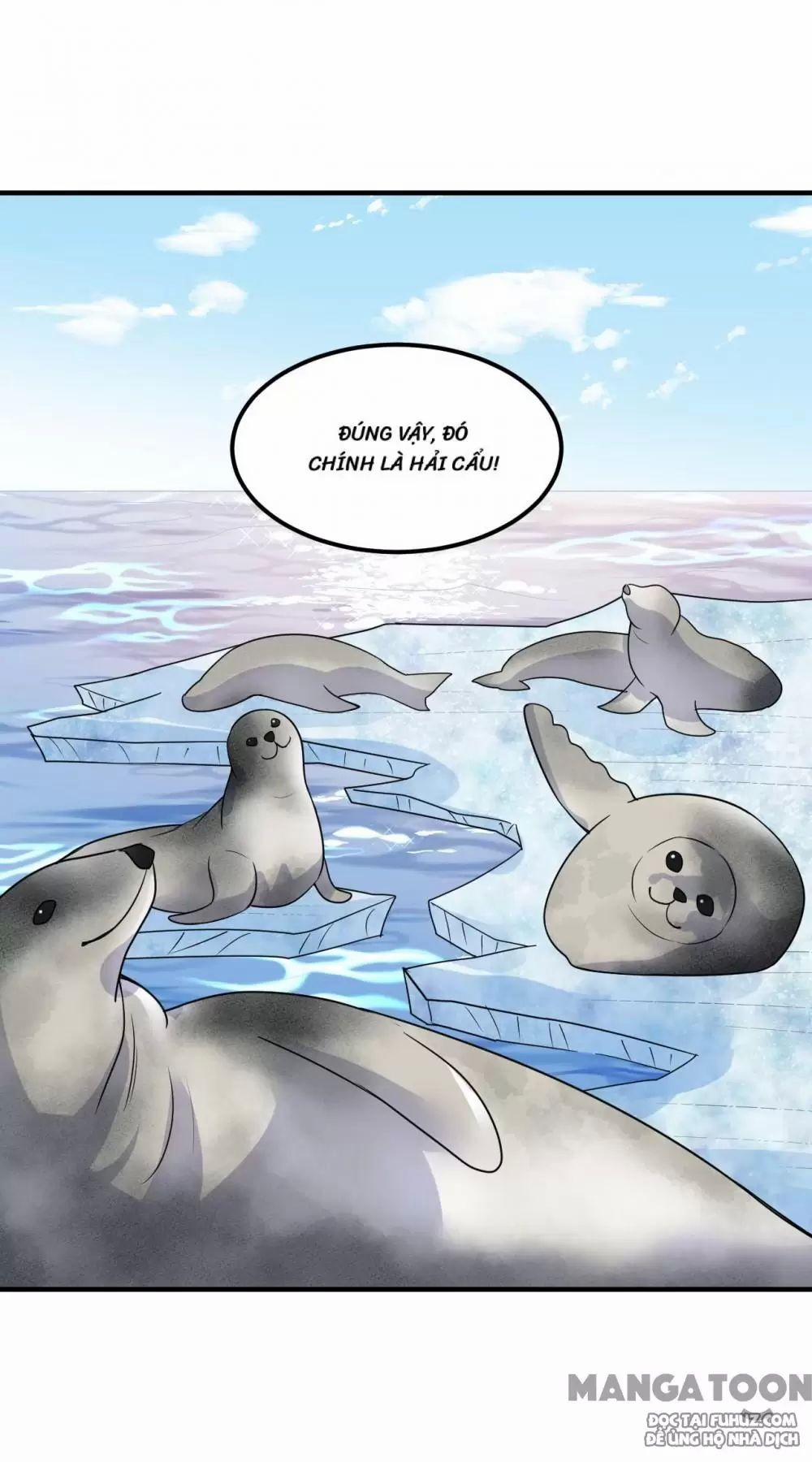 Tôi Sống Trên Hoang Đảo Cùng Các Em Gái 232 trang 38