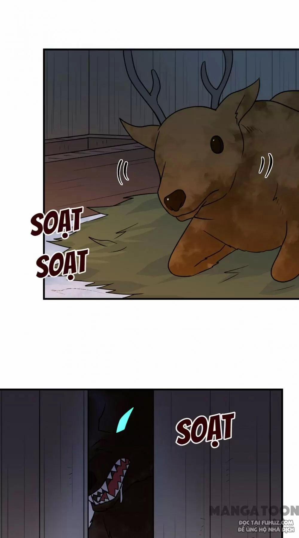 Tôi Sống Trên Hoang Đảo Cùng Các Em Gái 236 trang 30