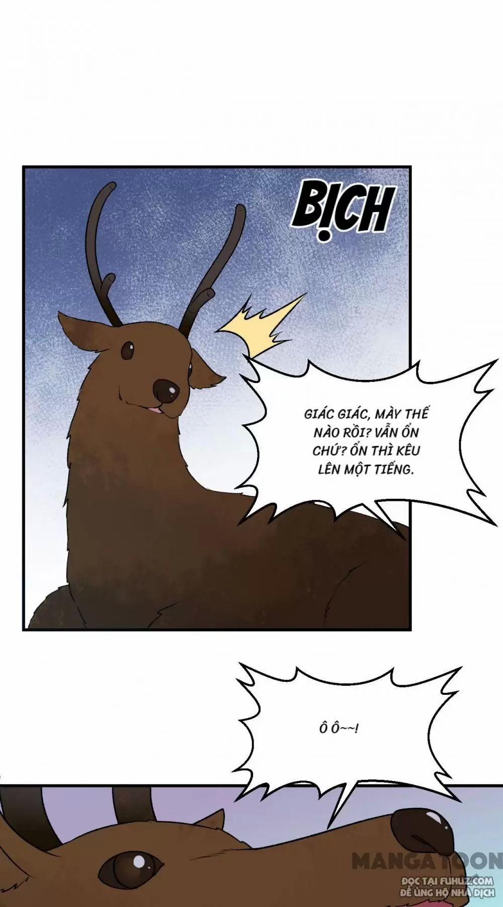 Tôi Sống Trên Hoang Đảo Cùng Các Em Gái 237 trang 10