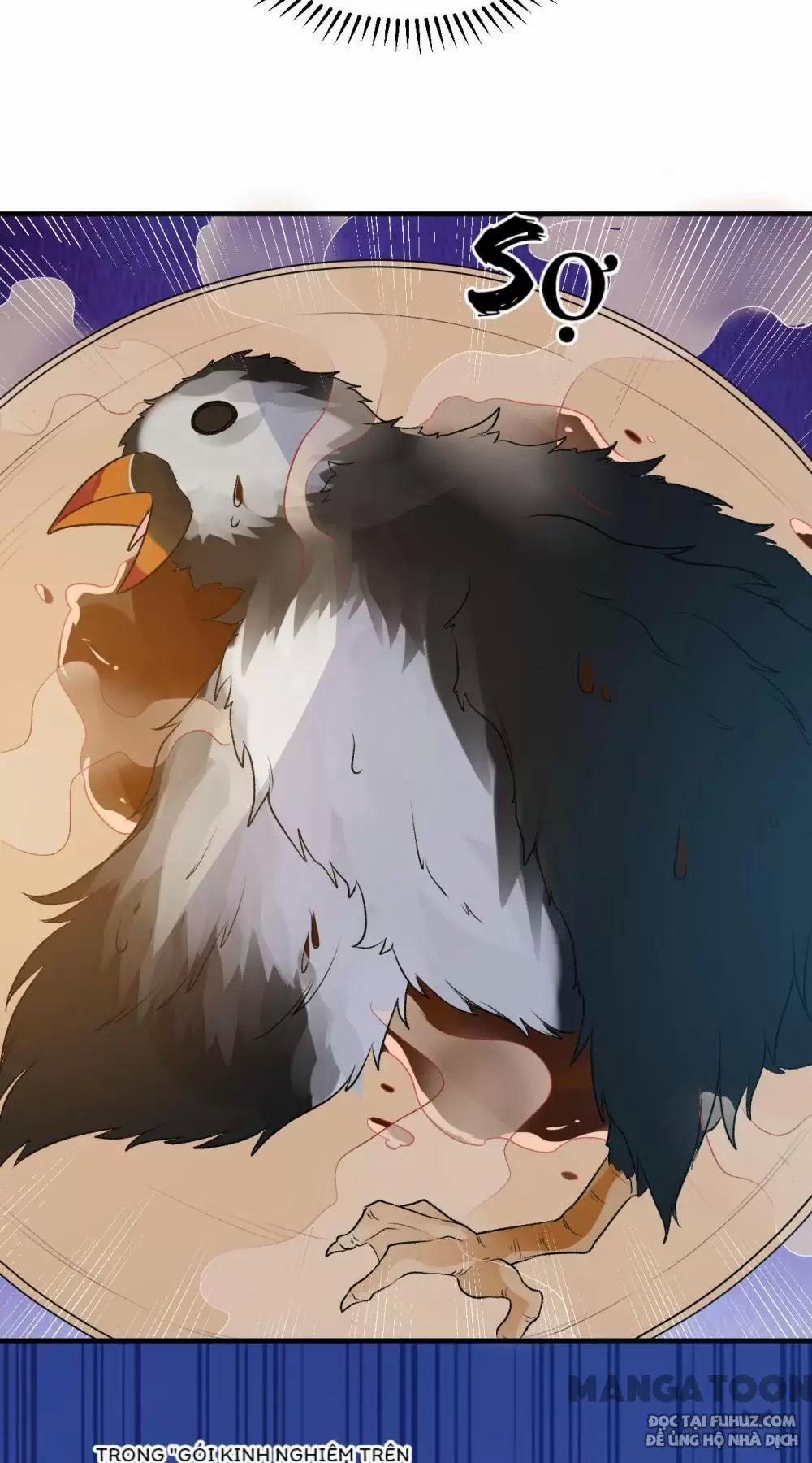 Tôi Sống Trên Hoang Đảo Cùng Các Em Gái 245 trang 30